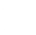 Fleetcam icon